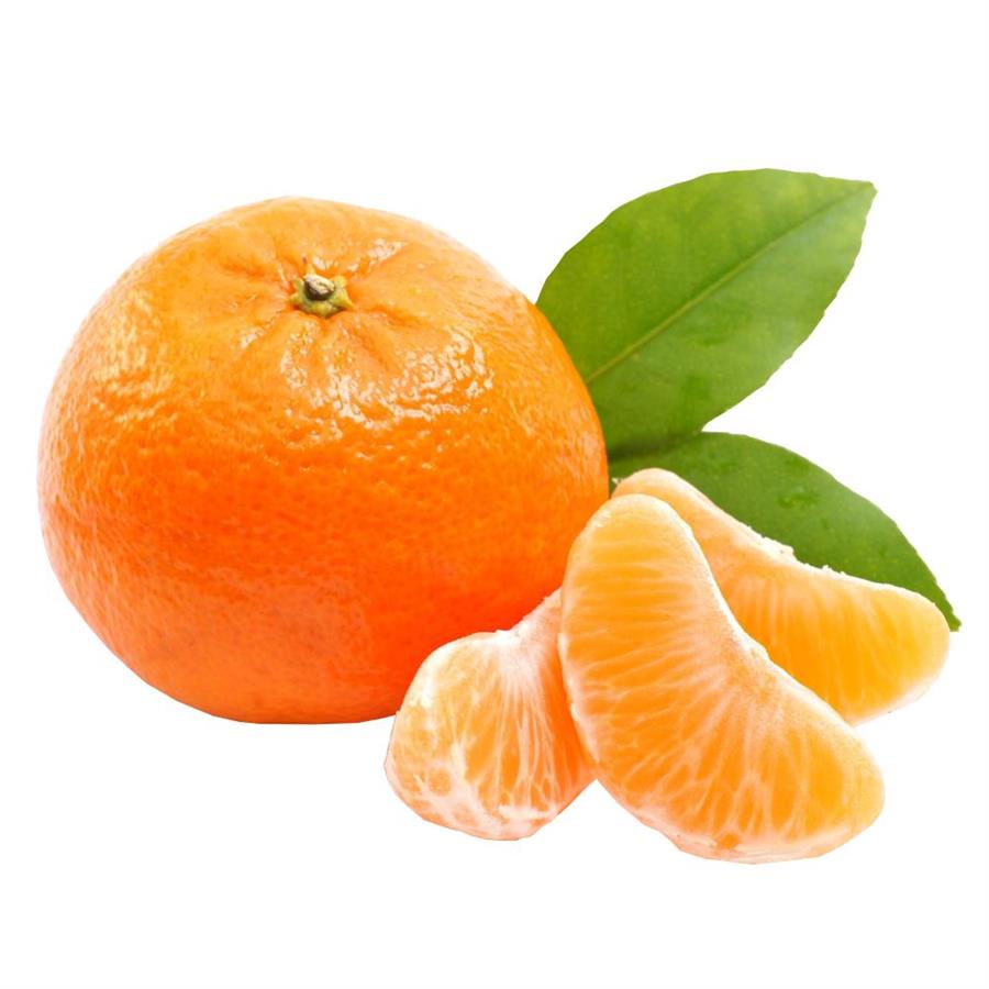 Mandarina Criolla x Kilo