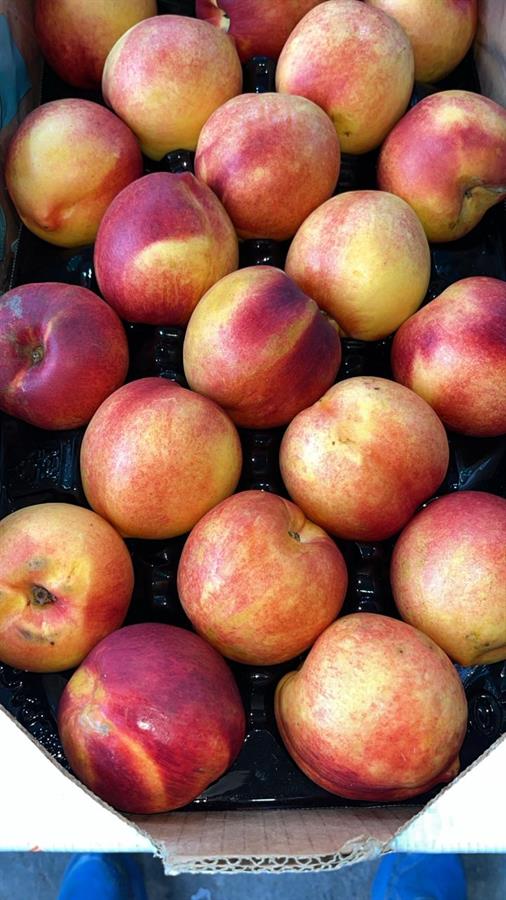 Durazno Pelon  CAJA  9KG