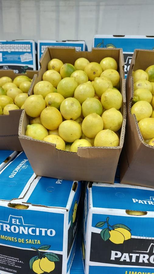 Limon 1ra Calidad 14 kg..- $1.715 Por Kilo Aprox