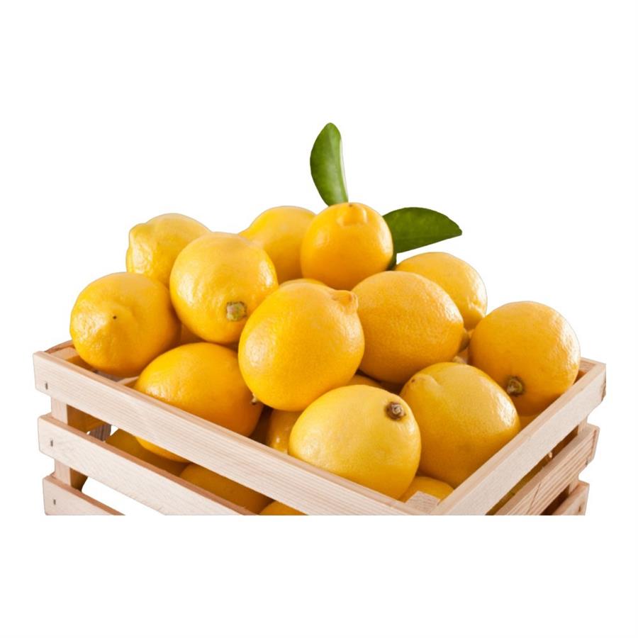 Limon Mayorista x 17 kg