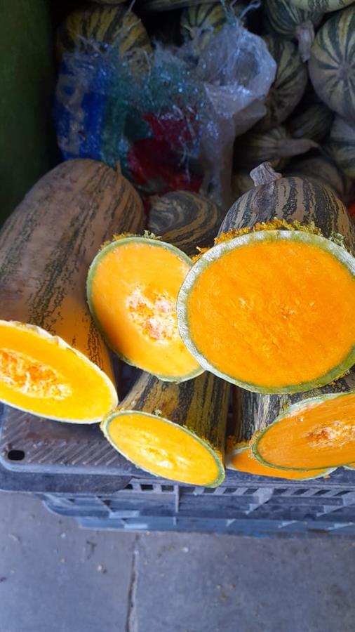 Calabaza Rayada Cogote x unidad