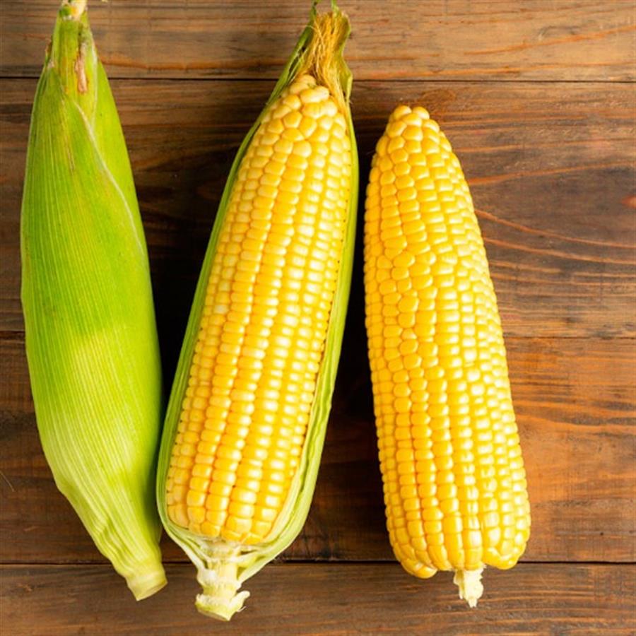 Choclo Blanco x 45 unid -  $377 Por unidad Aprox