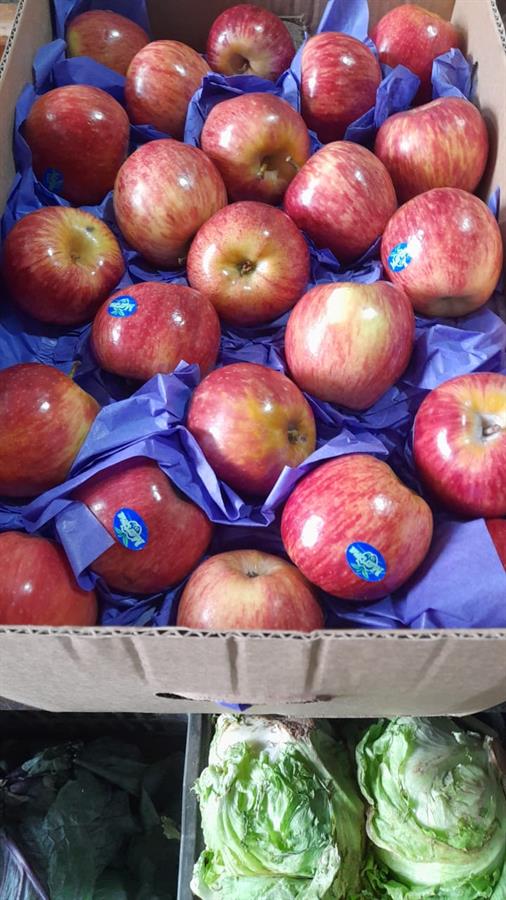 Manzana Red Roja Mayorista x 18 kg