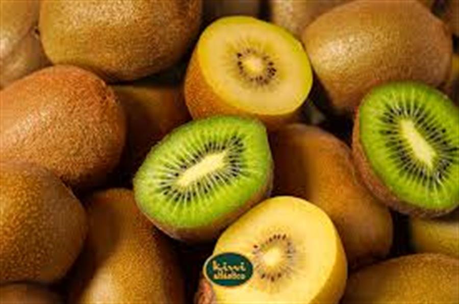 Kiwi Chileno x Unidad  top quality