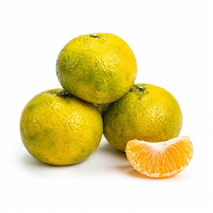 Mandarina Criolla x kg