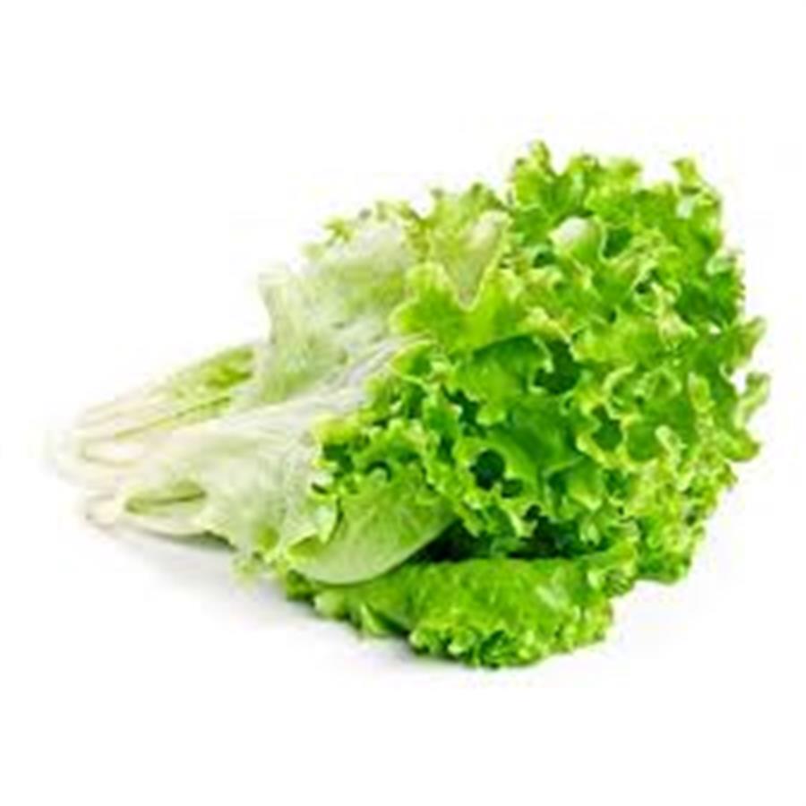 Lechuguin Verde x paquete