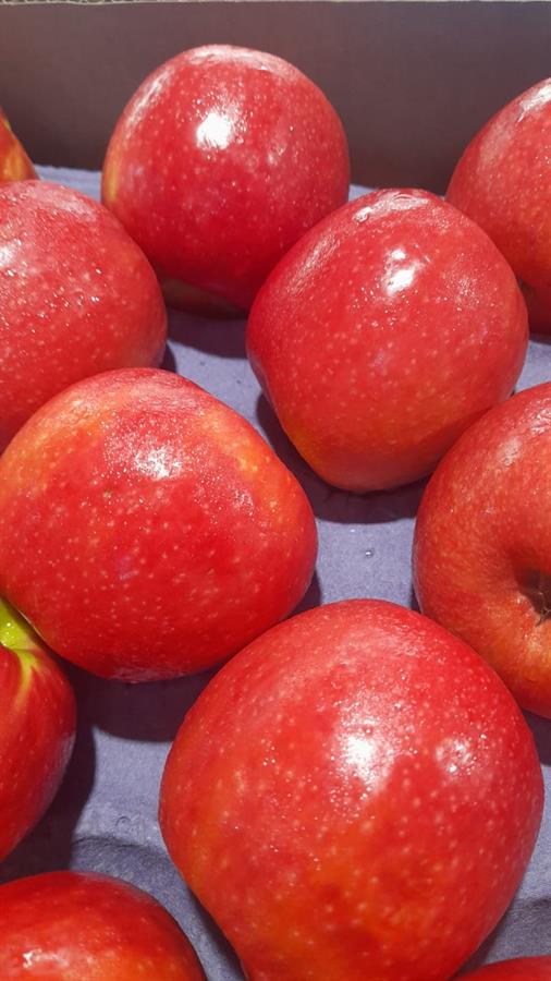 Manzana Pink Lady Mayorista x 18 kg