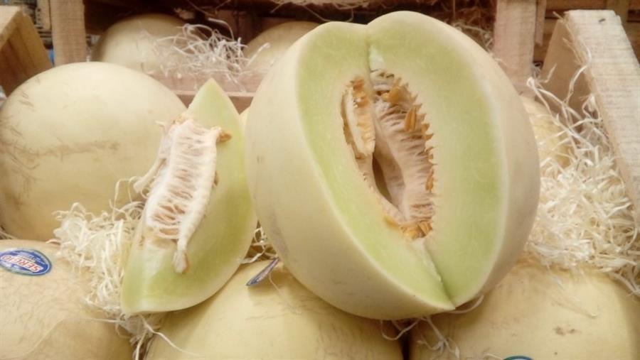 Melon Blanco Mayorista x 6 Unidades