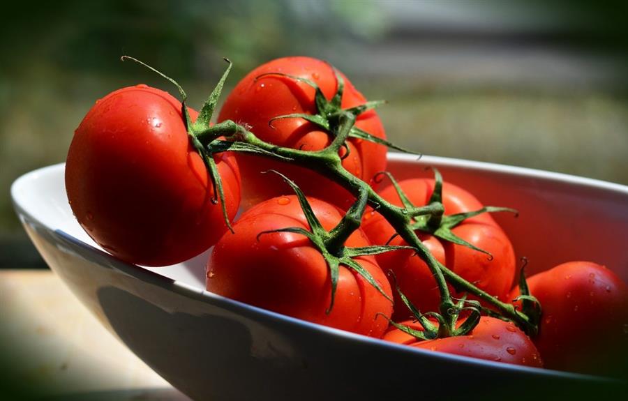 Tomate Redondo Mini  x kilo