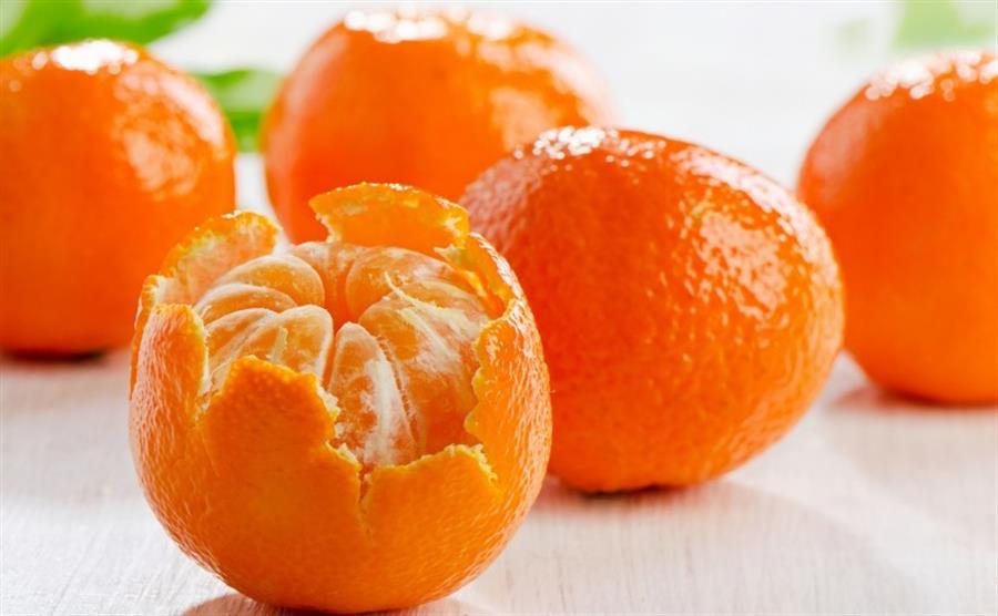 Mandarina Dancy x kilo