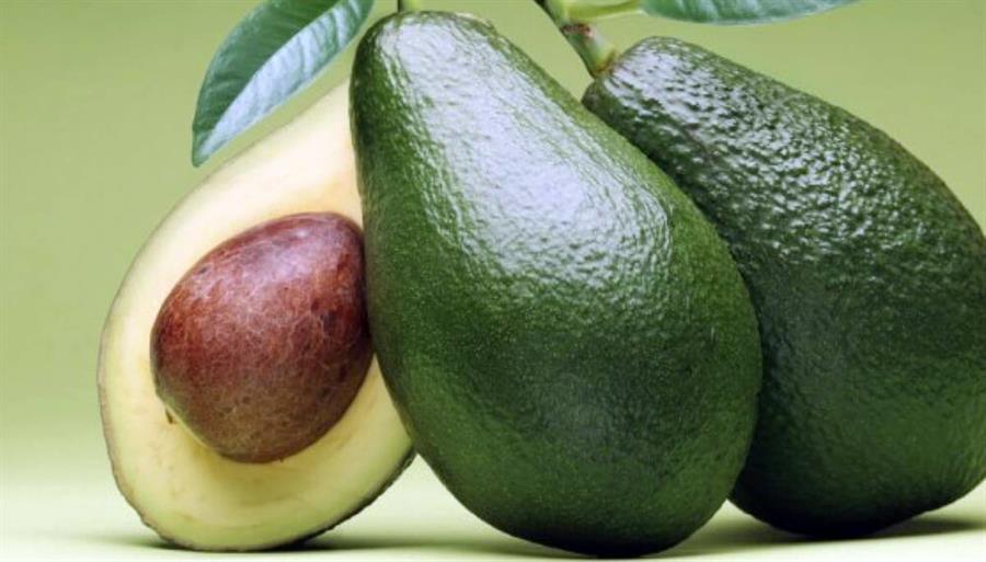 Palta Hass Mini x Kilo