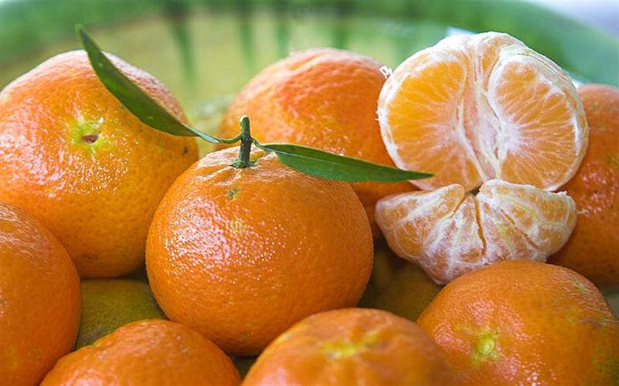 Mandarina Afurer x Kg