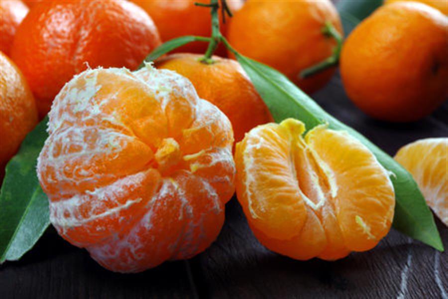 Mandarina Criolla x Kilo