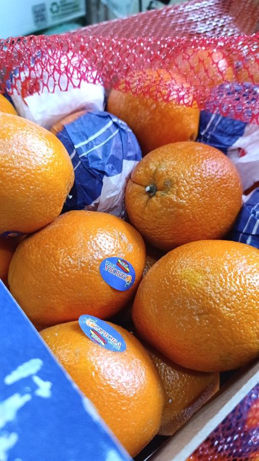 Naranja Ombligo Mayorista x 15 kilos