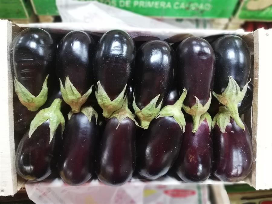 Berenjena Negra Mayorista x 9 kg