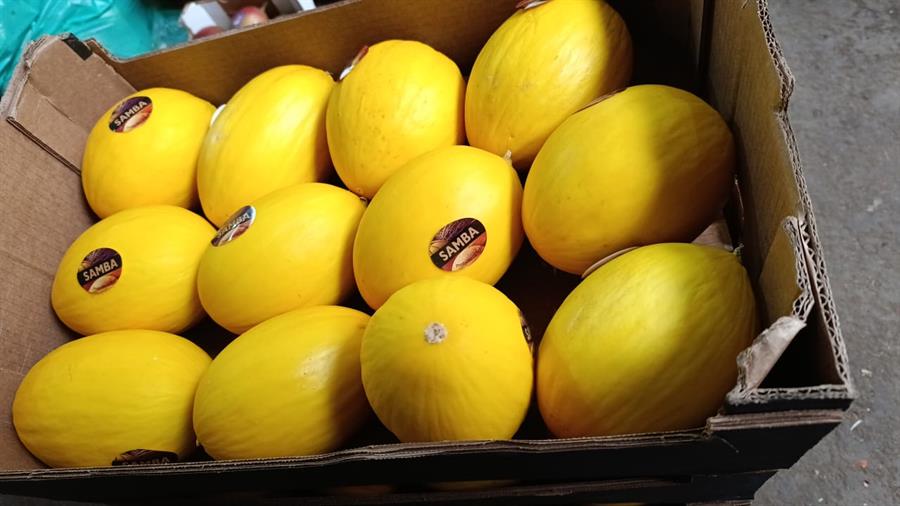 Melon Amarillo Mayorista x 10 unidades de 1.8 kg aprox