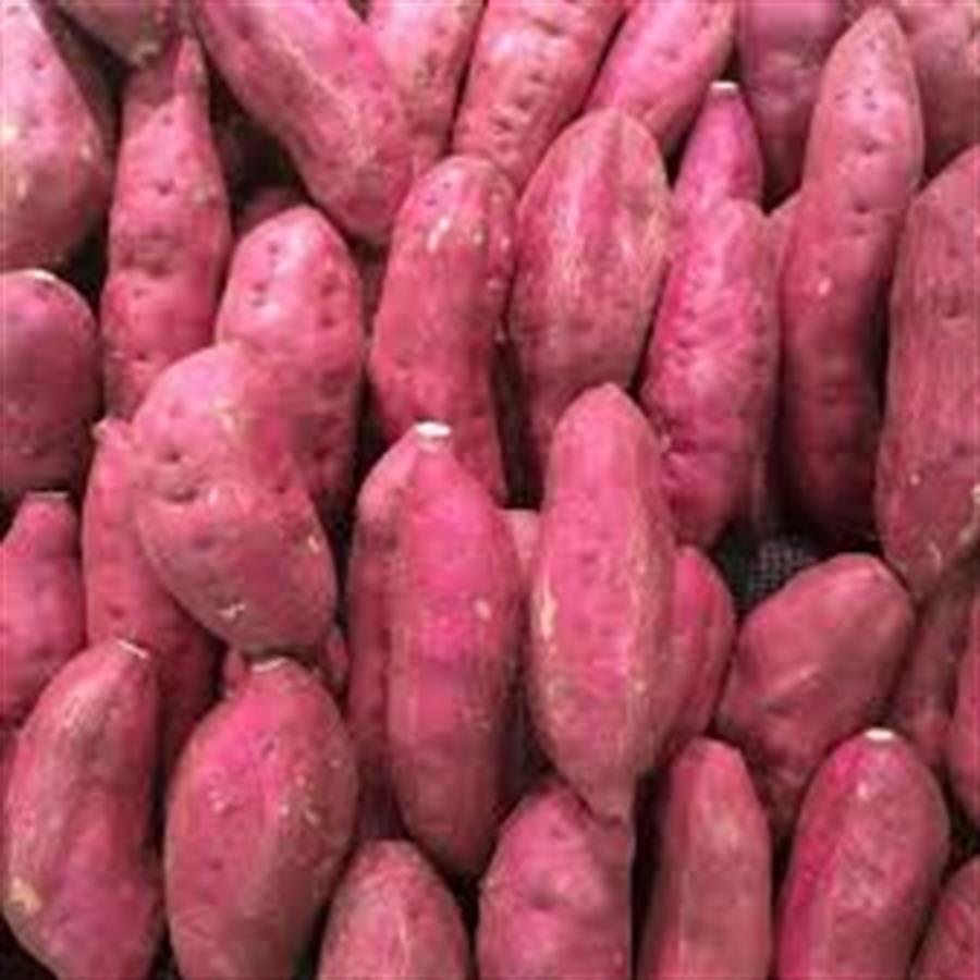 Batata Colorada x kilo  top quality