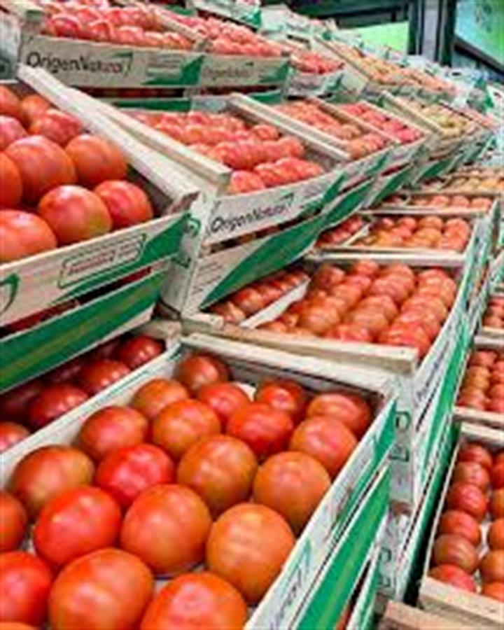 Tomate Redondo x 17 kg..- $2411 Por Kilo Aprox