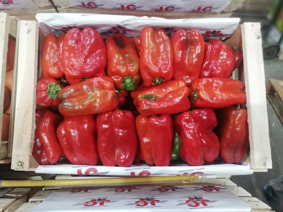 Pimiento Rojo Mayorista x 9 kg