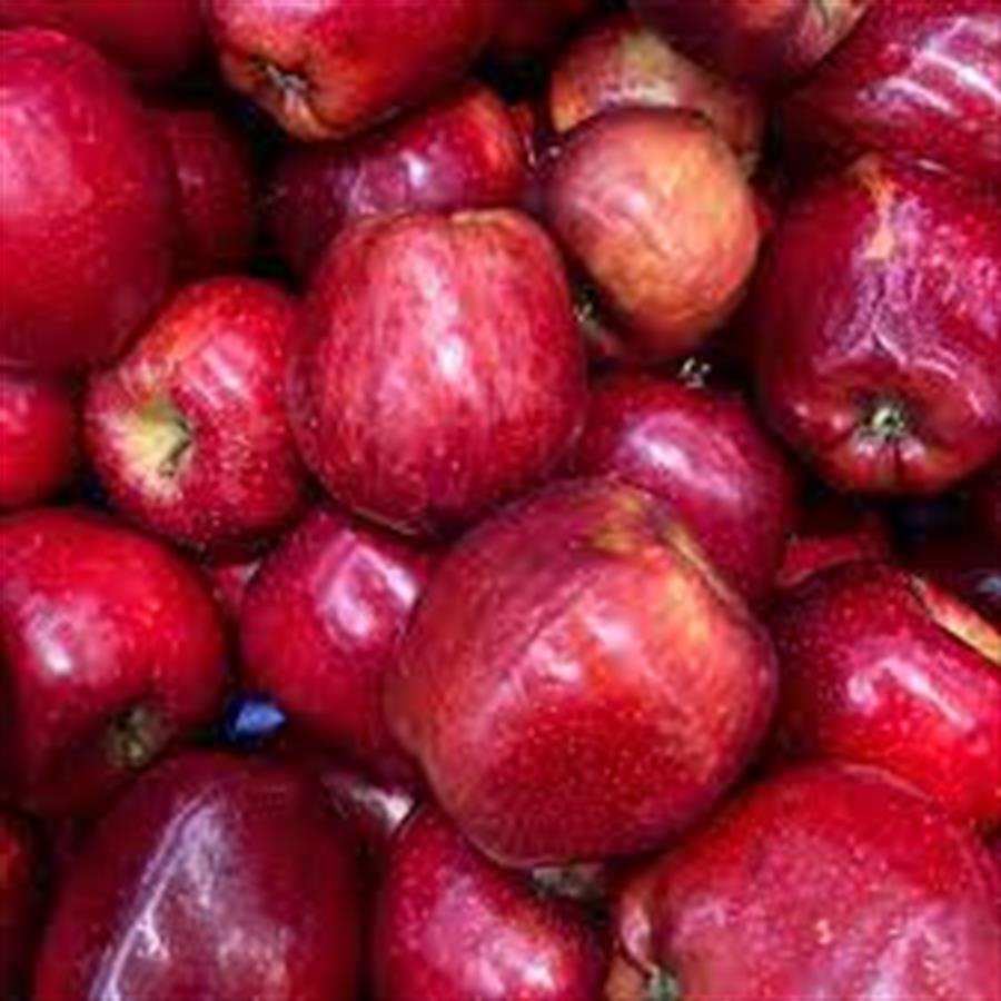 Manzana Roja Mini x kilo