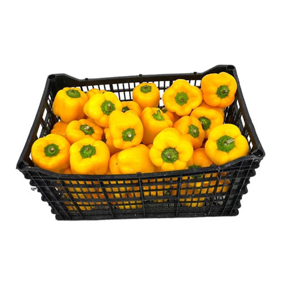 Pimiento Amarillo Mayorista x 9 kg