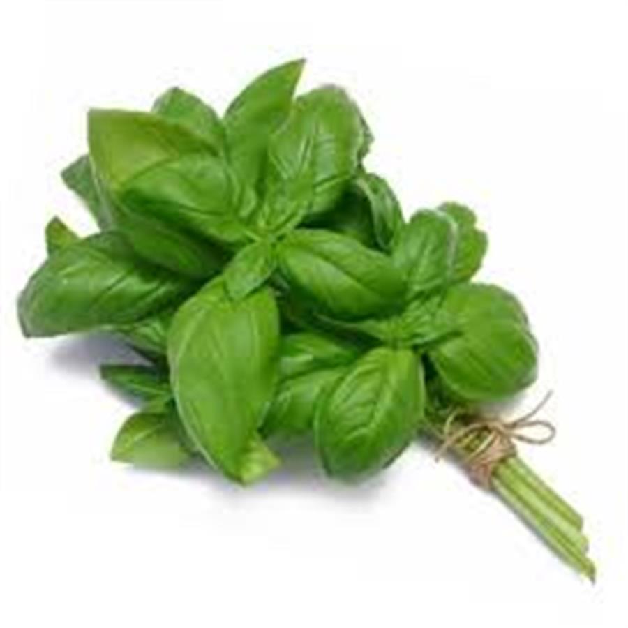 Albahaca x paquete