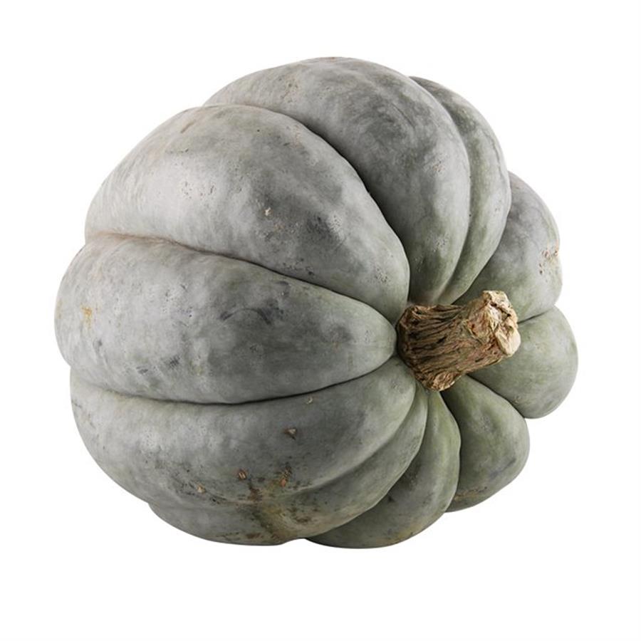Zapallo Criollo unidad x 9 kg