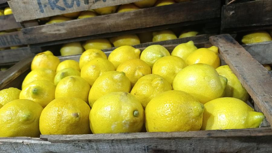 Limon Mediano 15 kg..- $2117 Por Kilo Aprox