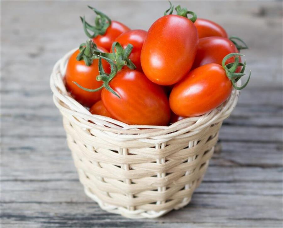 Tomate Perita Mediano x kilo