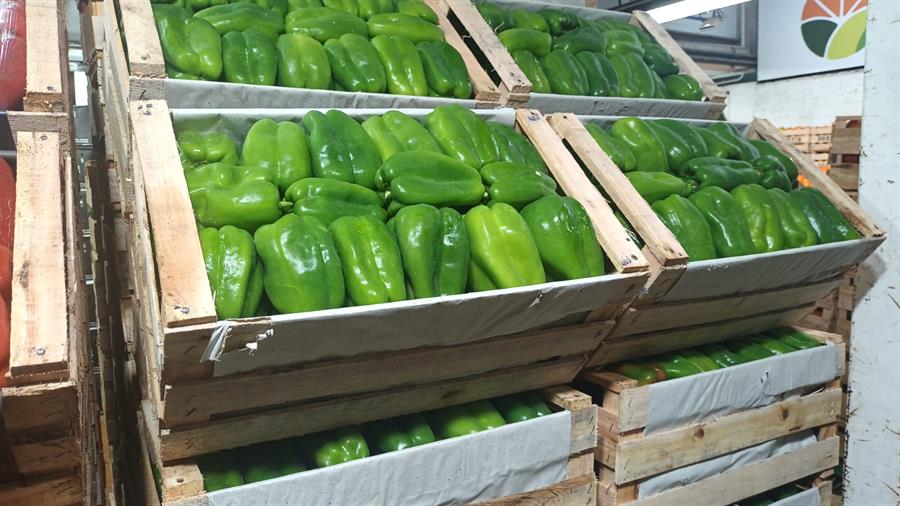 Pimiento Verde  8 kg..- $2529 Por Kilo Aprox