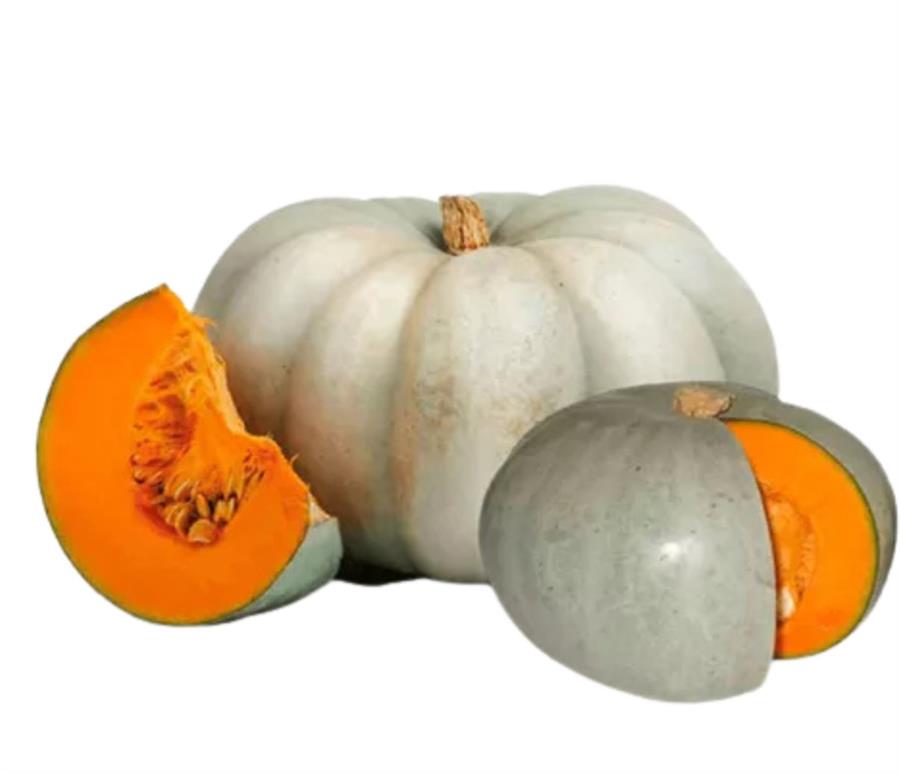 Zapallo Criollo P/LOCRO X 5kg