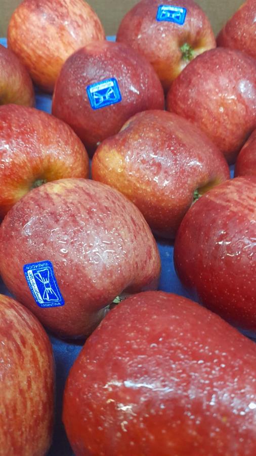 Manzana Red Delicius Moño Azul x kilo