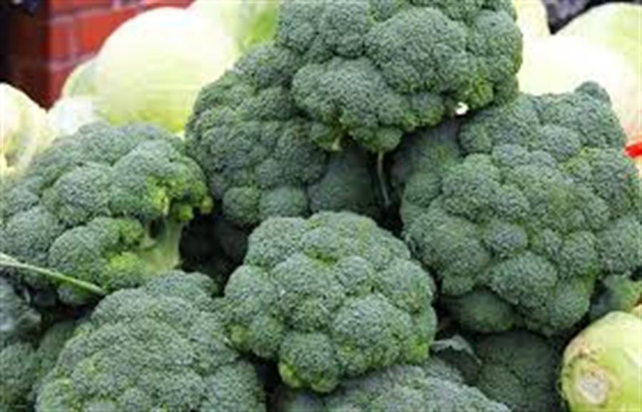 Brocoli Mayorista x 6 Unidades