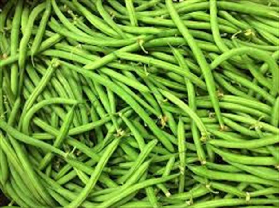 Chaucha Rolliza x 250 gr