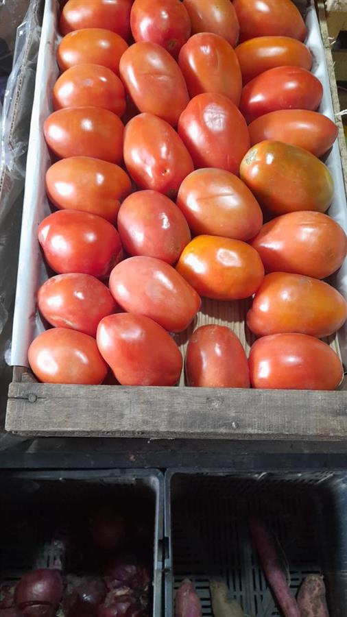 Tomate Perita Cajon X 17 kg