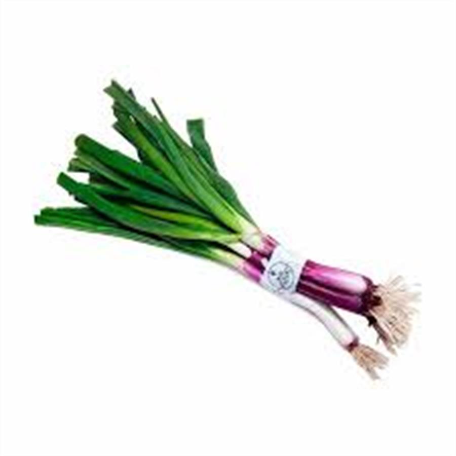 Cebolla Verdeo x 250 gr