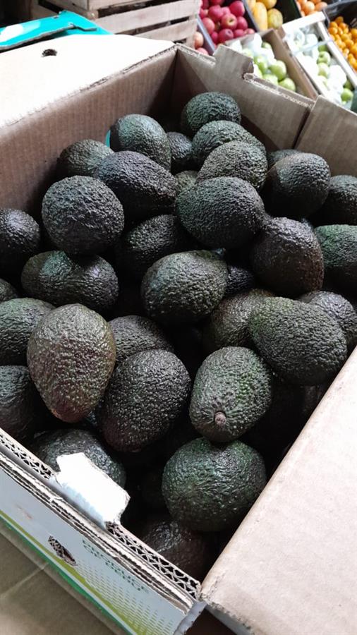 Palta Hass Mayorista 9 kilos