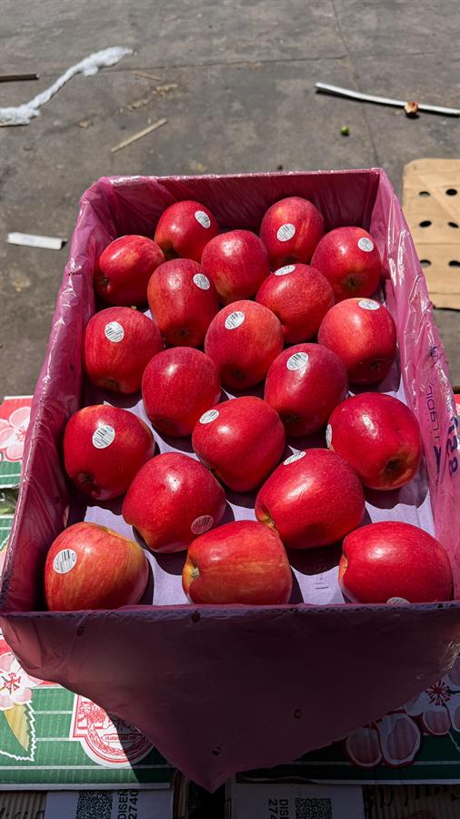 Manzana ROYAL GALA PREMIUM CAJA 1x 18 kg