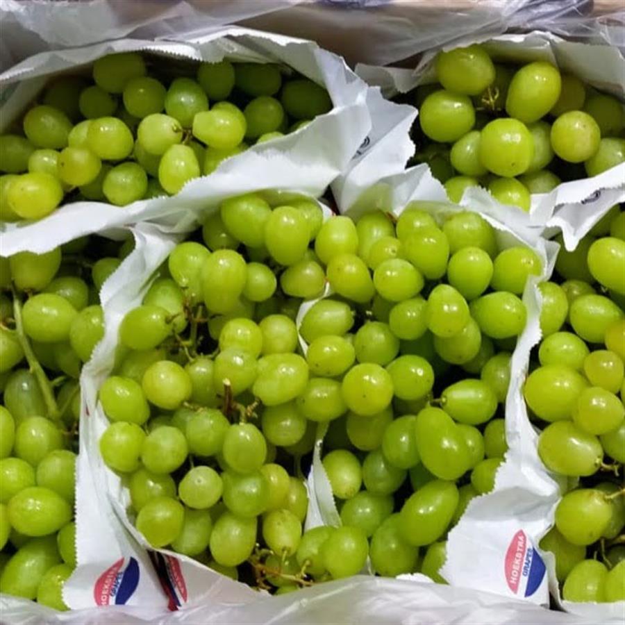 Uva Blanca Brasilera Mayorista x 8 kg