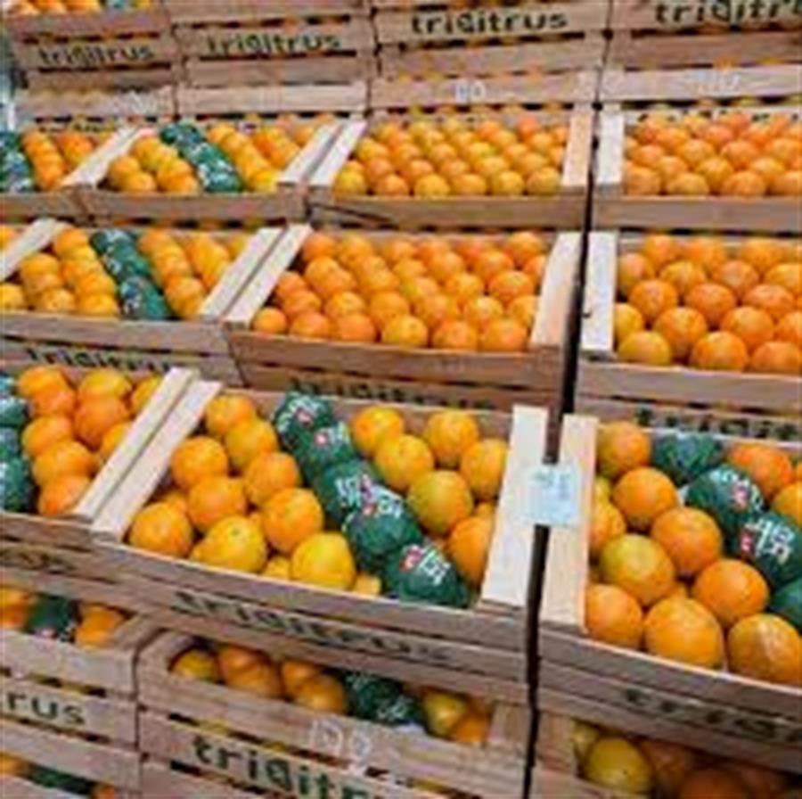 Naranja Jugo 18 kg  $1666 Por Kilo Aprox