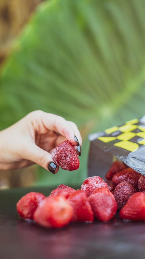 Frutilla Congelada x kilo