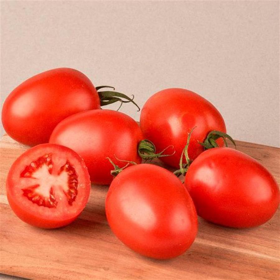 Tomate Perita Mediano x kilo