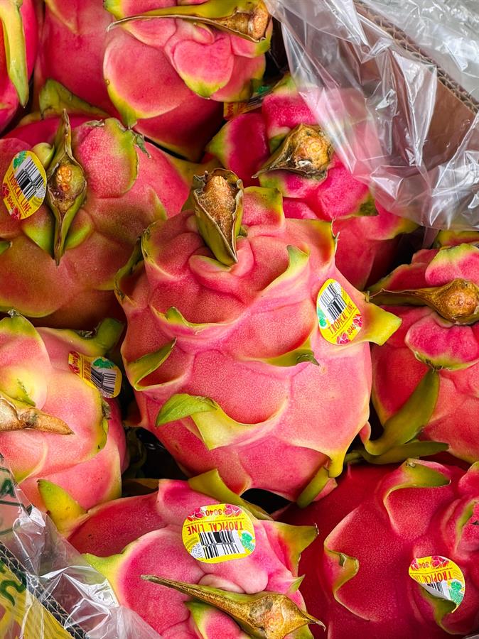 Pitahaya (fruta del Dragon) x Unidad