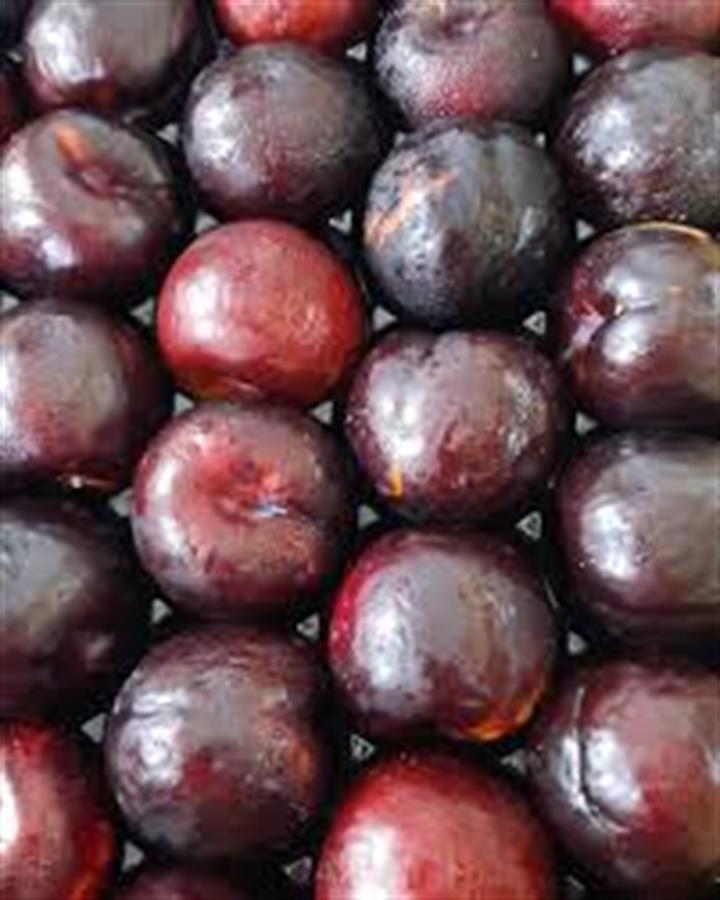 Ciruela Roja x 500 gr