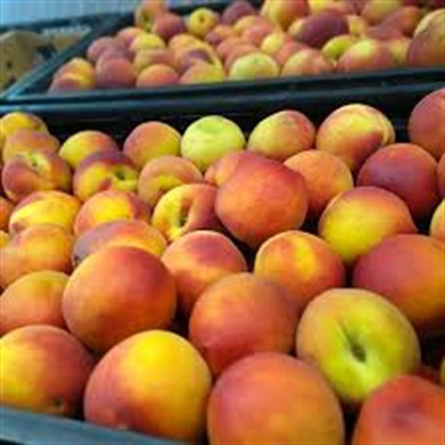 Durazno Amarillo 11 kg..- $3009 Por Kilo Aprox